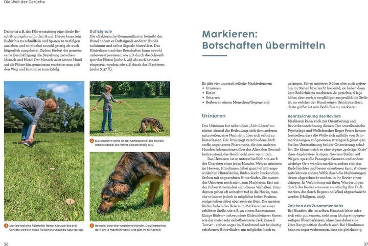 Produktbild Kosmos Sprachkurs Hund mit Martin Rütter (Deutsch, Martin Rütter, Andrea Buisman, 2022)