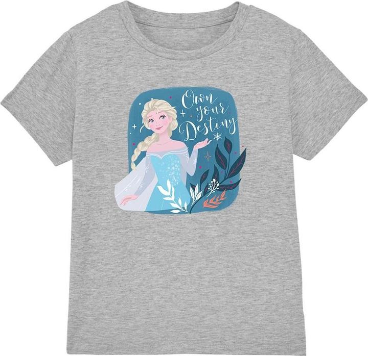 Disney Frozen Own Your Destiny TShirt