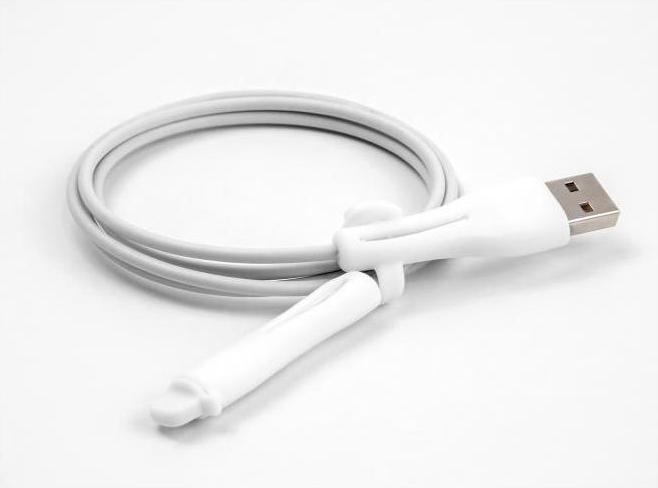 Image du produit Delock Cache-poussière pour prise USB Type-A et prise Apple Lightning™ set 2 pièces blanc (Enrouleur de câble)