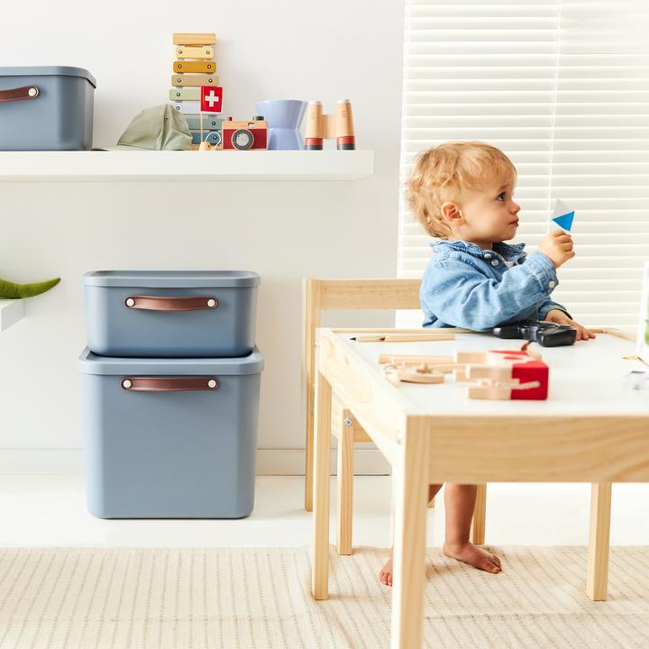 Actual product image Rotho Aufbewahrungsbox 40 l MALOJA (40 l)