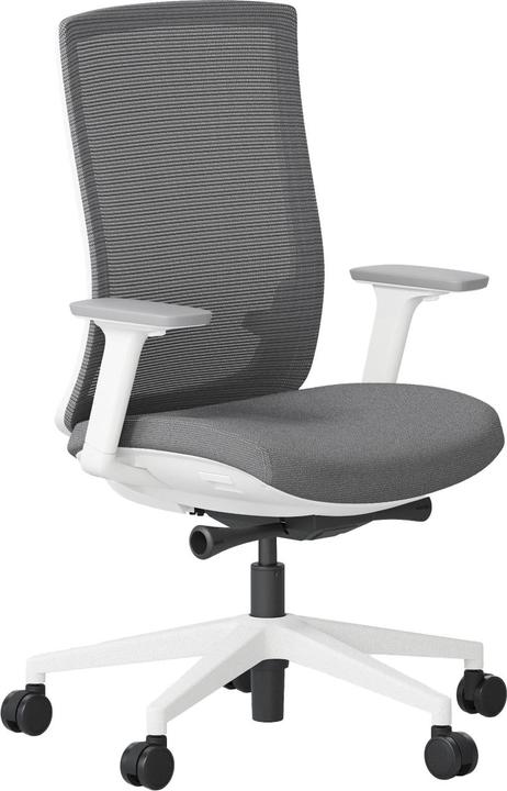 Image du produit ofinto Ergo