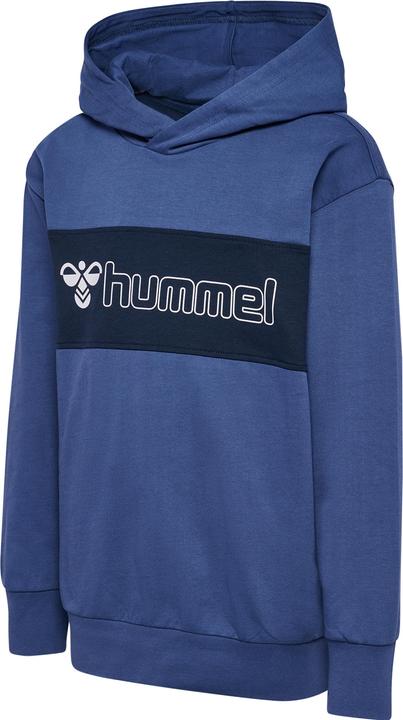 Image du produit hummel hmlATLAS HOODIE (164)