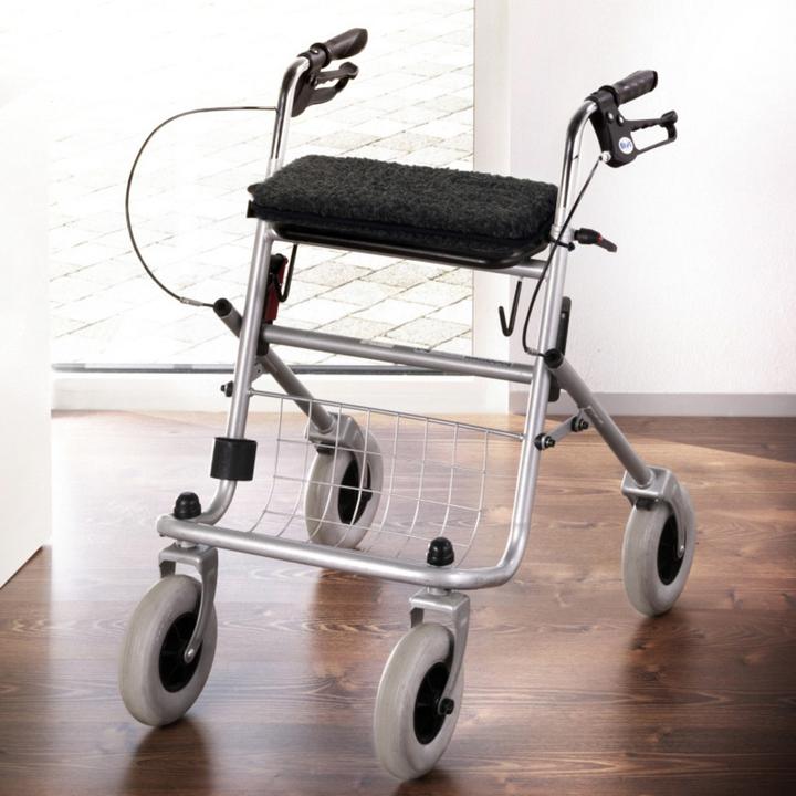 Immagine prodotto Erwin Müller Cuscino per rollator (Rialzamento)