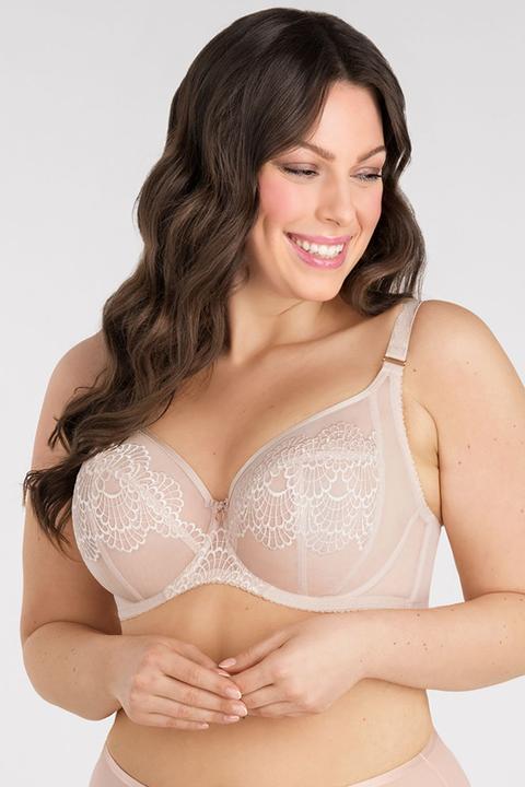 Gorsenia Soft model