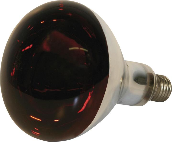 Kerbl Wärmelampe (150 W)