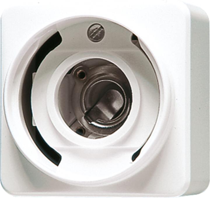 Actual product image JUNG Light signal E10 aws AP 600 Basiselem AGL 637-10AWW