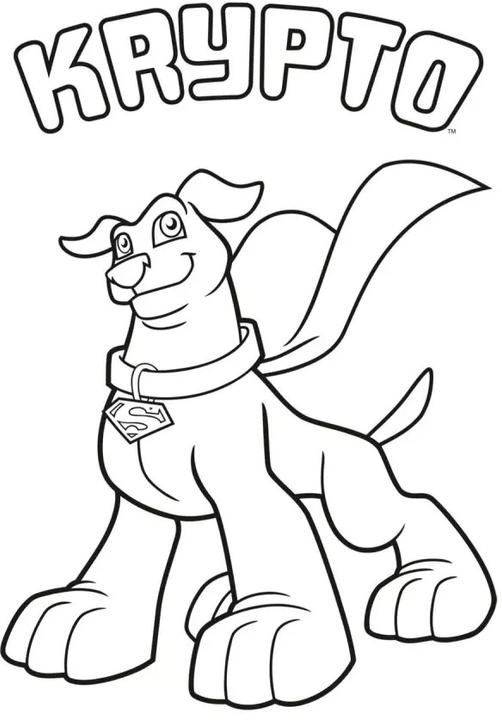 Image du produit Les super-héros DC : Mon livre de coloriage