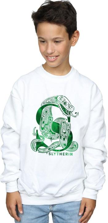 Image du produit - Sweat SLYTHERIN SNAKE - Garçon (128)