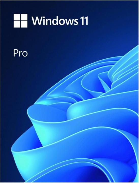 Produktbild Microsoft Windows Pro 11 PL Box 64-bit USB HAV-00209 Replaces P (1 User, unbegrenzt)