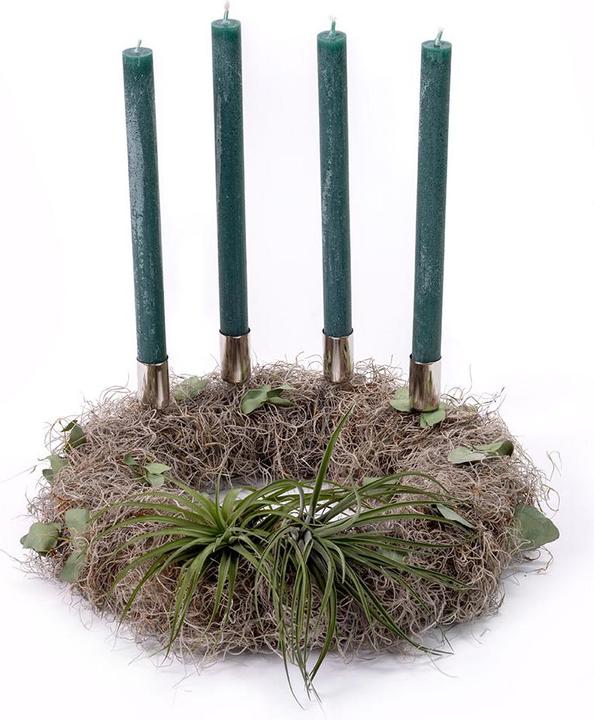 VEG and the City Adventskranz Tillandsien - Kerzen Tannengrün (35 cm)