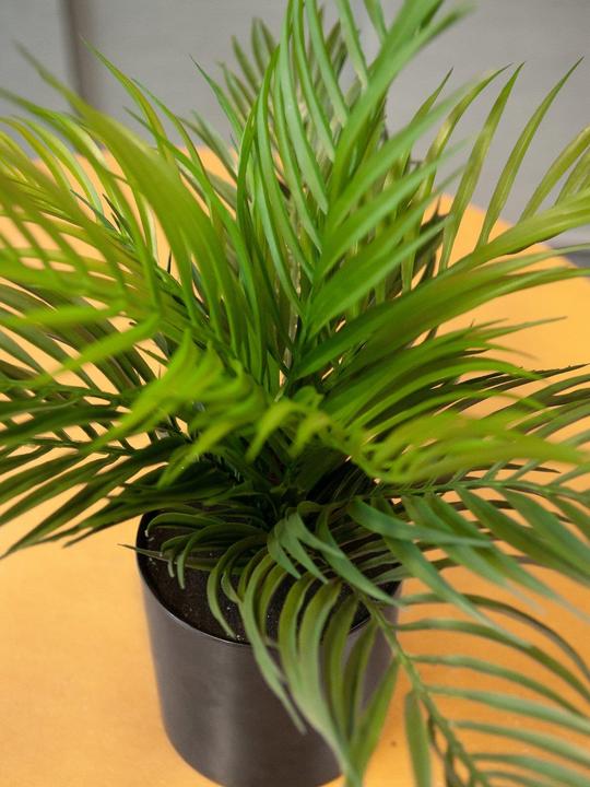 Image du produit Europalms Palmier à fruits d'or, plante artificielle, 46 cm (46 cm)