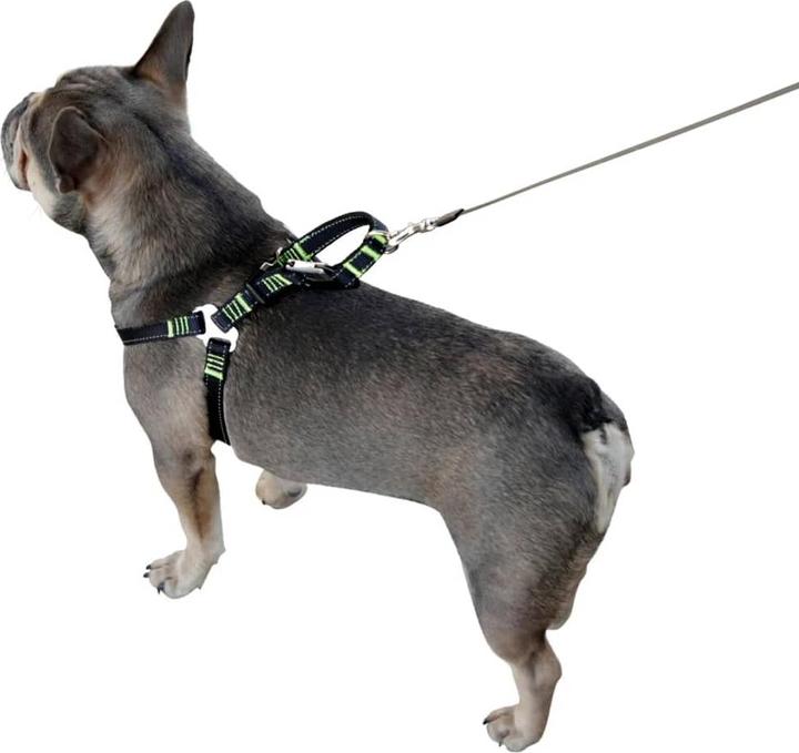 Immagine prodotto Kerbl Autosicherheitsgeschirr (Cane, Chiusura di sicurezza)