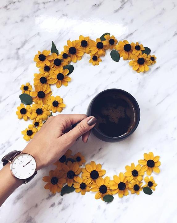 Produktbild Daniel Wellington Bristol (Analoguhr, 36 mm)
