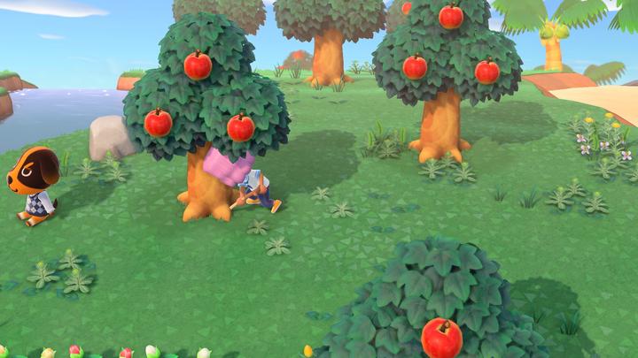 Image du produit Nintendo Animal Crossing: New Horizons (Switch, FR)