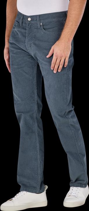Image du produit Levis 10021758 (W36/L32)