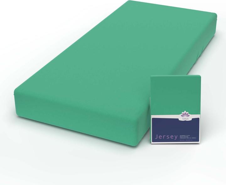 Actual product image Lotus Bettwaren Jersey Fix Comfort (180 x 200 cm)