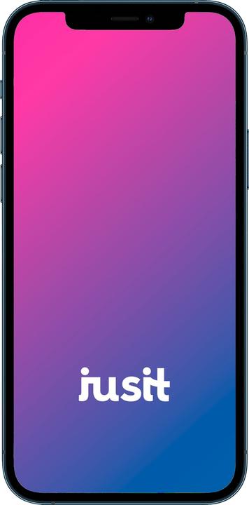 Actual product image jusit iPhone 12 Pro (256 GB, Pacific Blue, 6.10", 12 Mpx, B / Very good)