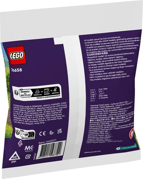 Image du produit LEGO 30658 Pendentif musical (30658, LEGO Friends)