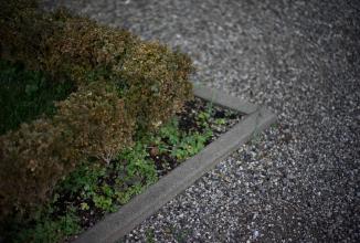 Immagine prodotto Voigtländer Nokton 50mm / 1,2 VM asfalto. (Leica M, Full-frame)
