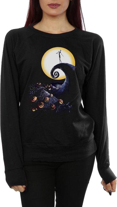 Actual product image Dick Smith Womens/Ladies Cemetery Sweatshirt (XXL)
