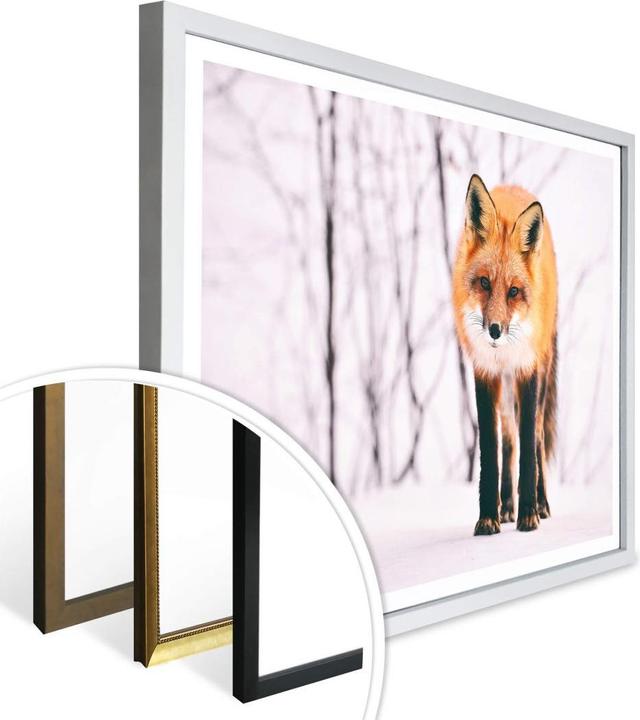 Produktbild Trenddeko Fuchs im Schnee - 2-teilig (50 x 40 cm)