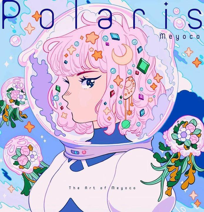 Produktbild Polaris (Englisch, Meyoco, 2021)