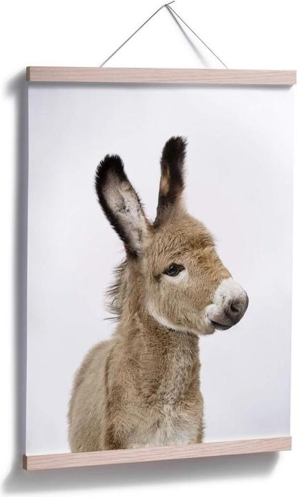 Image du produit Trenddeko Sisi & Seb - Bébé âne (24 x 30 cm)