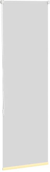 Actual product image VidaXL Marnin (40 x 150 cm)