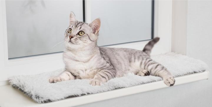 Immagine prodotto Trixie Harvey (Gatto)