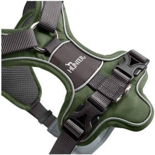 Actual product image Hunter Divo tableware (M, Dog, Dog sport)