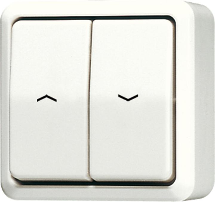 Image du produit JUNG Insert pour interrupteur de store AP 600 cws glz 609VA