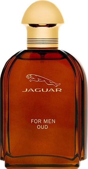 Immagine prodotto Jaguar For Men Oud EDP spray 100ml (Eau de parfum, 100 ml)