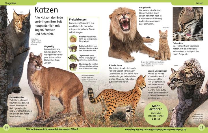 Actual product image DK Kinderlexikon Tiere (German, DK Verlag - Kids, 2023)