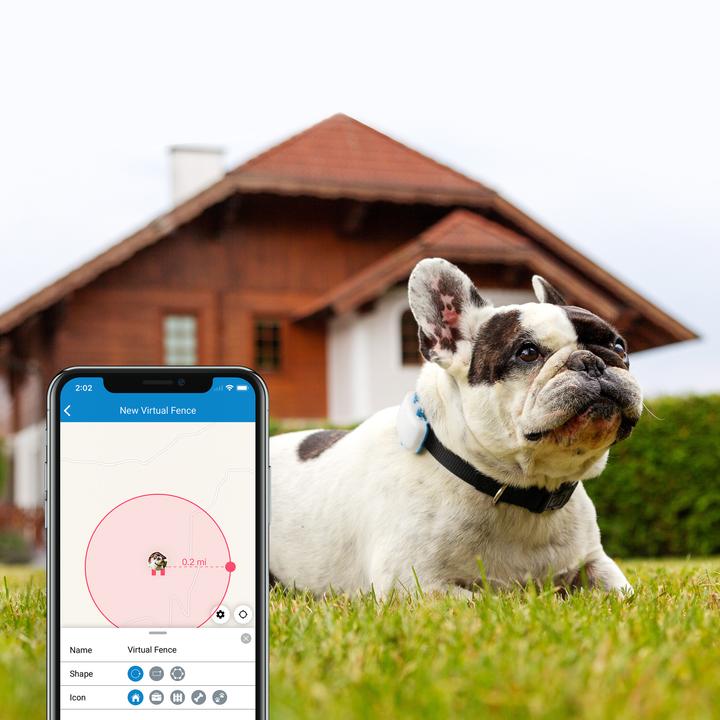 Produktbild Tractive Dog 4 GPS Tracker für Hunde (One Size, Hund, Allgemein)