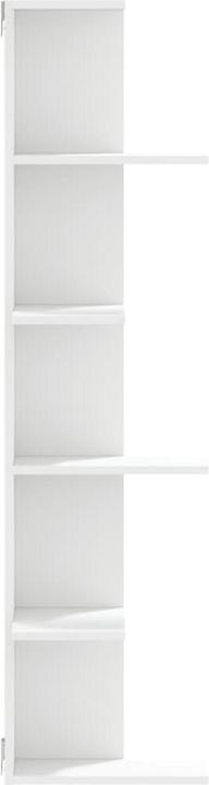 Image du produit VidaXL Wand-Eckregal (36,5 x 36,5 x 140 cm)