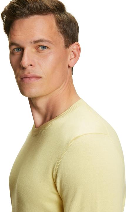 Actual product image Falke Men Pullover (M)