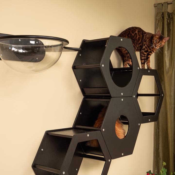 Image du produit Wowhelperco Aire de jeux murale pour chats 8 pièces (Noir)