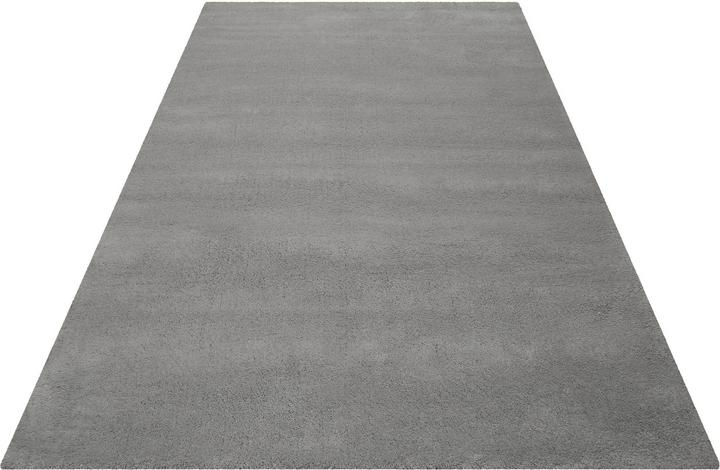 Actual product image Esprit Greenwood Rug (140 x 200 cm)