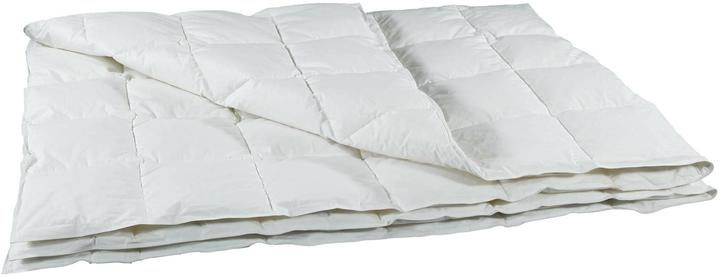 Actual product image Albis Line 200 light down duvet (350 g, 160 x 210 cm)