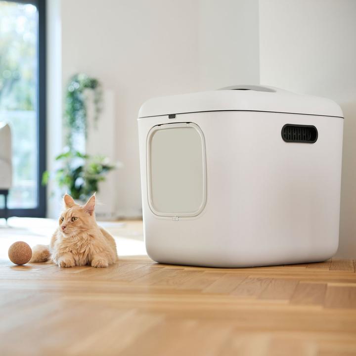 Actual product image Rotho BIALA XL cat litter tray (Cat litter tray open)