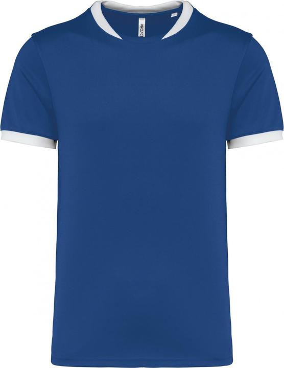 darkroyalblue