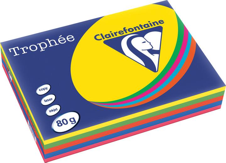 Image du produit Clairefontaine Papier universel Trophée couleur (120 g/m², 250 x, A4)