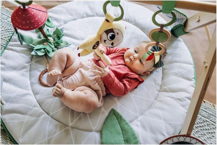 Productafbeelding Tiny Love Boho Chic Luxe Ontwikkelings Gymini