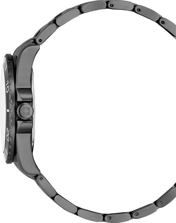 Produktbild Swiss Alpine Military 7029.1178 Raptor (Swiss Made, 42 mm)