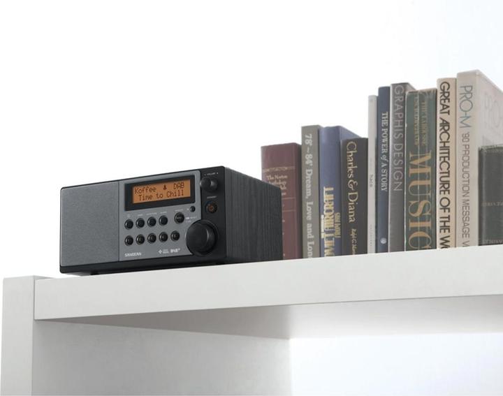 Actual product image Sangean Ddr-31+ (FM, DAB+)