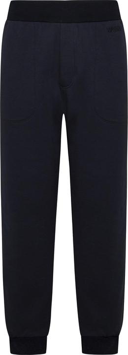 Ermenegildo Zegna Zegna Trousers Blue