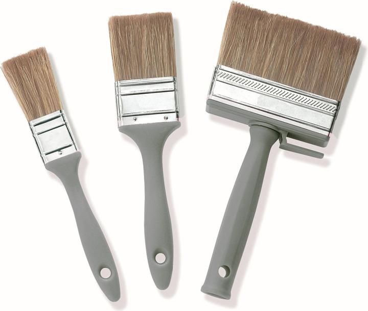Color Expert Pinselset (100 mm)