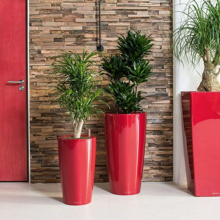 Immagine prodotto Lechuza RONDO Premium. (40 cm)