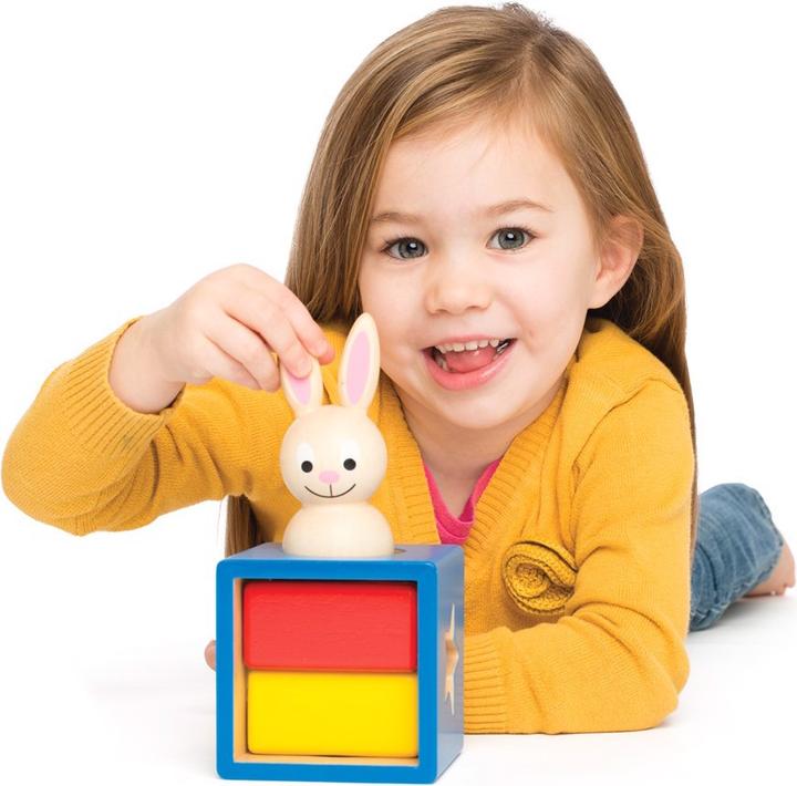 Actual product image Smart Games bunny boo (German, French, Italian, English)