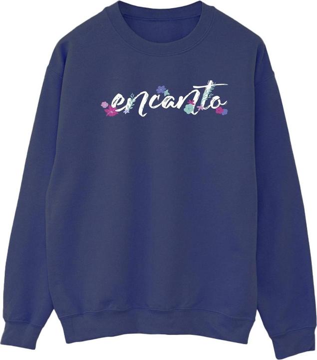 Actual product image Disney Womens/Ladies Encanto Logo Sweatshirt (L)